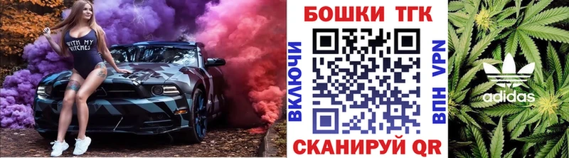 Купить закладку Каннабис  Меф  Cocaine  ГАШ  Заозёрск